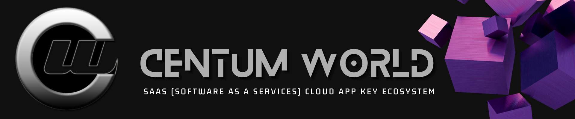 SAAS (Software as a services) CLOUD INFRASTRUCTURE (2)